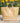 Nash Grey - Yellow Gingham TOTE BAG