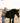 Sterling Kreek Rodeo Road Top